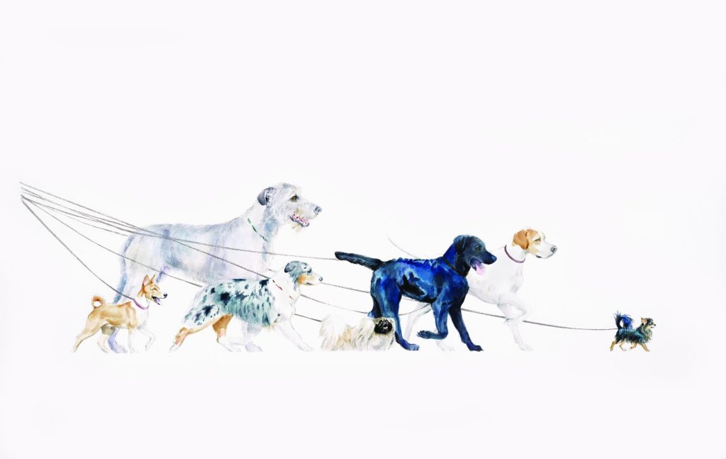 2017 Westminster Kennel Club Artwork Competition
