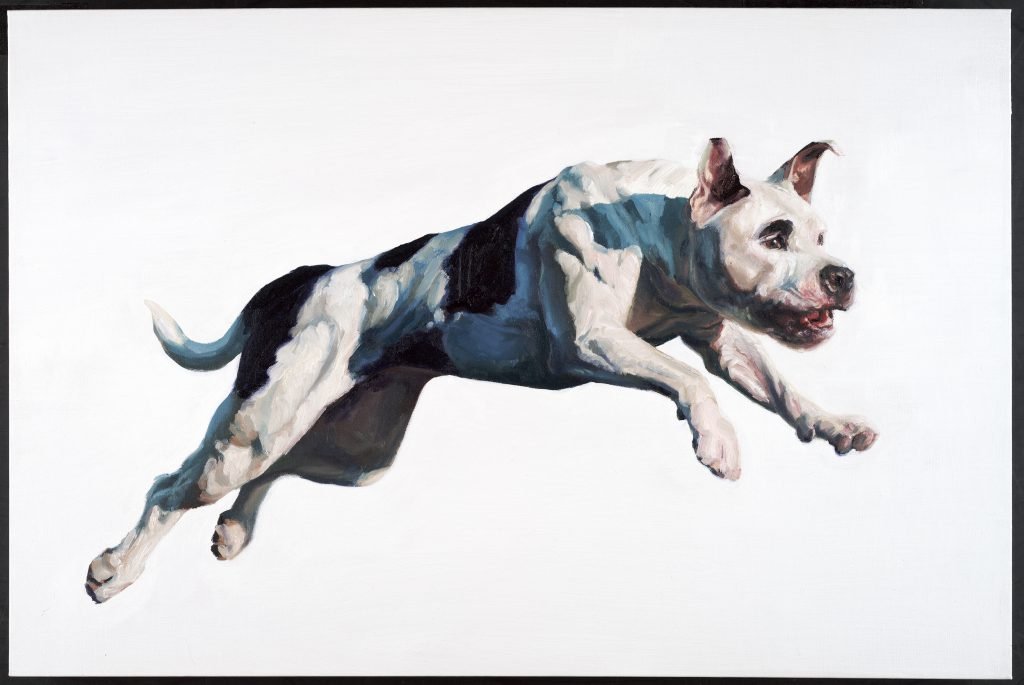 2016 Westminster Kennel Club Artwork Competition